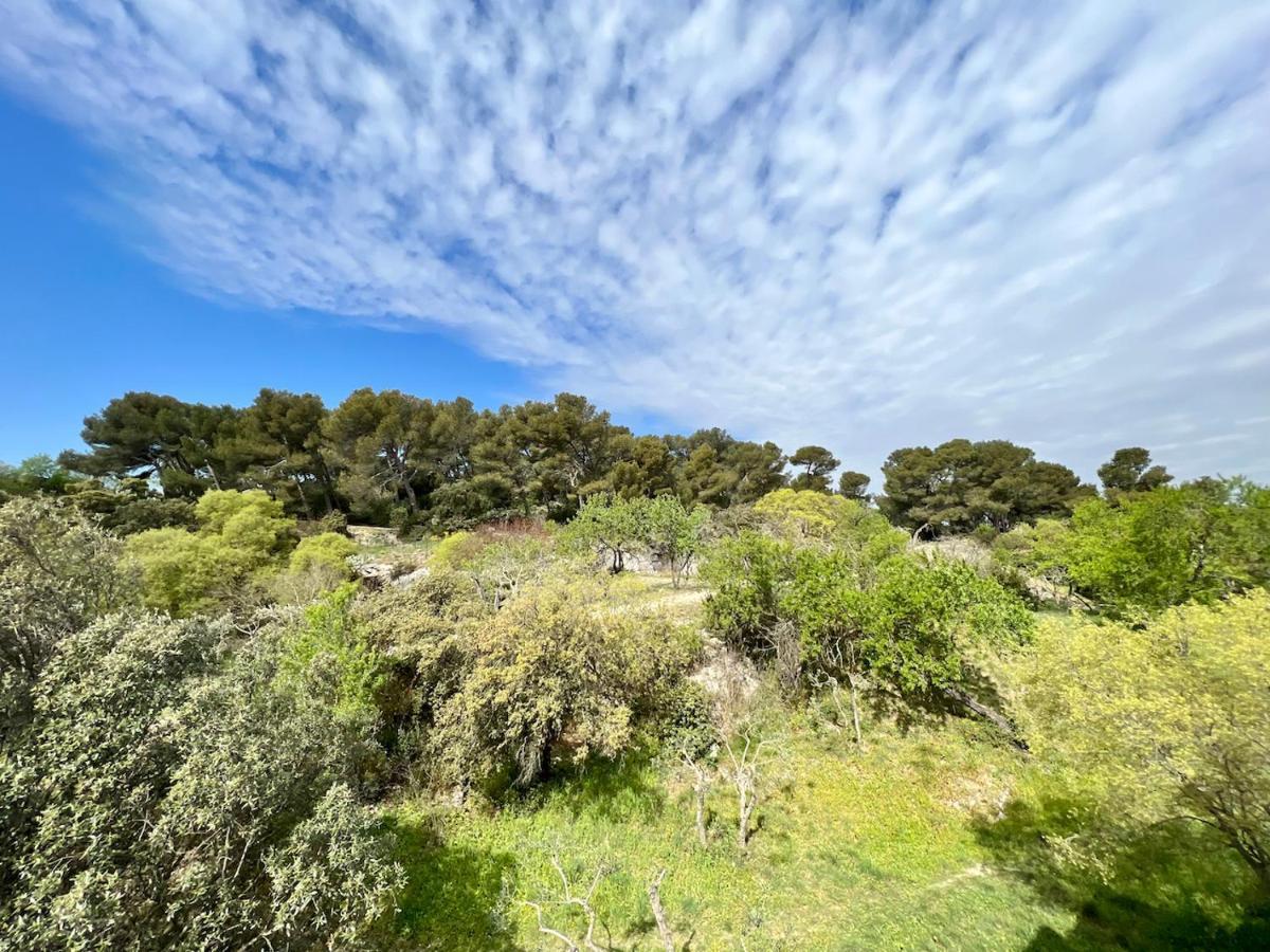 Tutto Mio Appartement Villeneuve-lès-Avignon Buitenkant foto